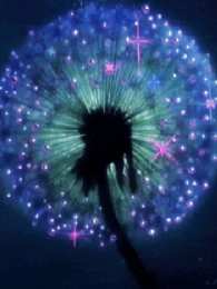 С одуванчиками Открытка мерцающая с одуванчиками белыми в стеклянной вазе. 