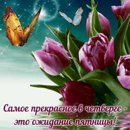 С четвергом Картинка Великий четверг. Картинка После дождичка в четверг.