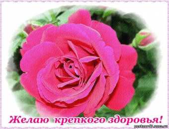 Крепкого здоровья Открытки пожелания здоровья. Открытки с добрыми пожеланиями здоровья.