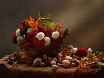 С астрами Фото Астры и хризантемы. Астры букет фото. Красивые Астры фото.