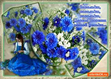 С васильками Картинки с васильками. Картинки с васильками с днём рождения.