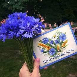 С васильками Васильками с днём рождения. Красивые открытки с васильками. 