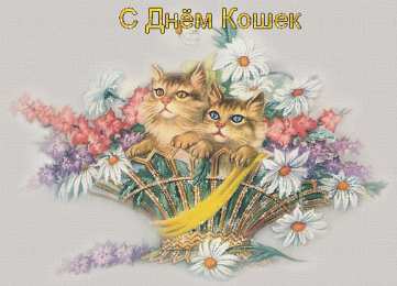С Всемирным днём кошек Анимационные открытки с Днем кошек. Прикольные открытки с Днем кошек. 