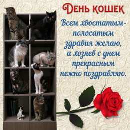 С Всемирным днём кошек Открытка Всемирный день кошек 8 августа. Скачать картинки с Днём Кошки.