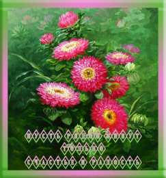 С астрами Фото Астры и хризантемы. Астры букет фото. Красивые Астры фото.