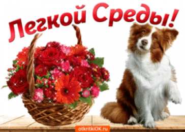 Со средой Картинка со средой. Картинки поздравления со средой. Картинки со средой.