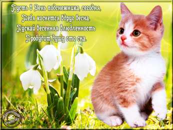 С днём подснежника Скачать бесплатно открытки С днем подснежника. Открытки подснежники.