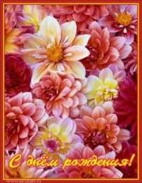 С георгинами Картинка с георгинами. Открытка в День рождения с георгинами.