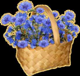 С васильками Картинки с васильками. Картинки с васильками с днём рождения.