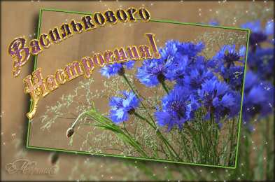 С васильками Картинки с васильками. Картинки с васильками с днём рождения.