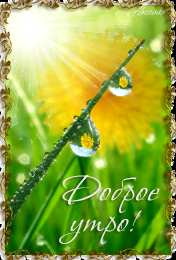 С одуванчиками Картинка с одуванчиками. Картинки девушка с одуванчиками.   