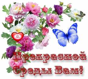 Со средой Доброе утро среда прикольные картинки. Удачной среды картинки.