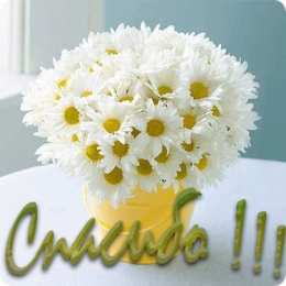 С ромашками Картинки с ромашками. Картинки Спокойной ночи с ромашками.  