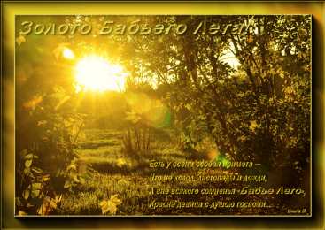 Бабье Лето Картинки Бабье лето прикольные. Картинки смешные про бабье лето.