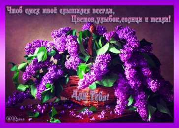 Открытки С сиренью Картинки доброе утро с сиренью. Картинки С днём рождения с сиренью. Картинки девушка с сиренью. Картинки на рабочий стол с сиренью. Картинки корзина с сиренью. Картинки с сиренью. Картинки с сиренью скачать картинки с сиренью цветы.