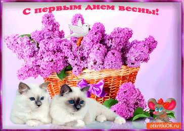 Открытки С сиренью Скачать бесплатно сирень.  Открытки С днём рождения с сиренью. Открытка Сиреневая Нежность, я с корзиной цветов сирени Сиреневый и голубой. Открытка Приятного вечера с букетом сирени. Картинки с днём рождения с сиренью. Скачать бесплатно сирень.