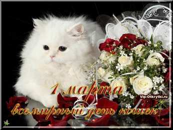 С Всемирным днём кошек Красивые картинки с днем кошек. Прикольные открытки с Днем кошек.