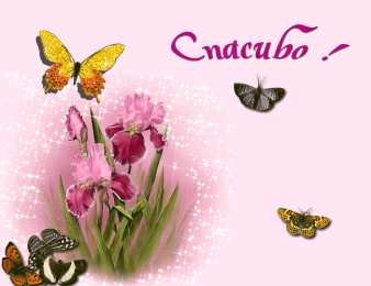 С ирисами Открытка сказочного денёчка с фиолетовыми ирисами и бабочкой.