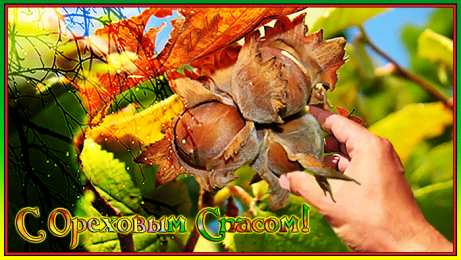 Ореховый спас Красивая открытка с ореховым Спасом. Открытка с ореховым Спасом.