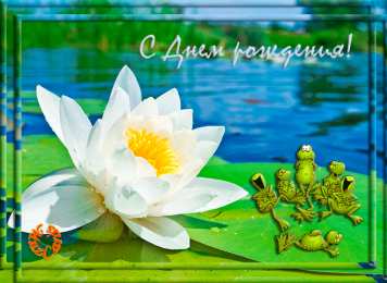 С лотосом Самые красивые лотосы фото GIF картинка Лотос. Живая картинка лотоса.