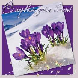 С крокусами Открытка Спасибо что есть на земле чудеса, мерцающий фиолетовый Крокус.