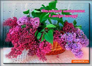 Картинки про погоду Картинки статусы про погоду. Картинки про погоду прикольные.