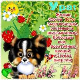 Про лето Картинки лето. Красивые открытки лето. Открытки и картинки лето.