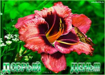 Добрый день Открытка Доброго денечка! Открытки со стихами пожеланиями доброго дня.