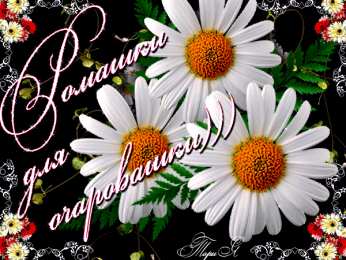 С ромашками Картинки с ромашками. Картинки Спокойной ночи с ромашками.  