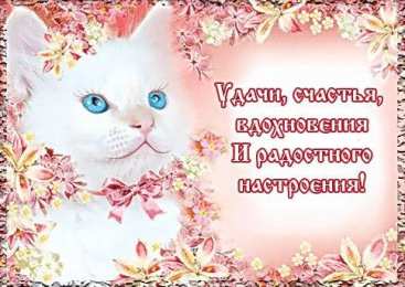 С пожеланиями удачи Прикольные картинки удачи. Анимационные картинки Желаю удачи. 