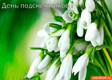 С днём подснежника Открытка с днем подснежника. Открытка с днем рождения подснежники.