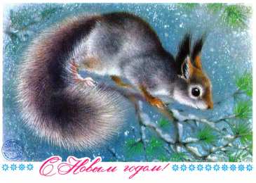 С белочками Картинки доброе утро с Беллой с днем рождения белочка картинки.