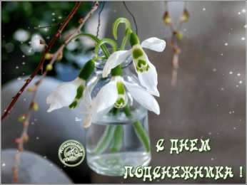 С днём подснежника Открытка с днем подснежника. Открытка с днем рождения подснежники.