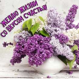 С сиренью Открытка Желаю вам простого счастья, с цветущей сиренью.    