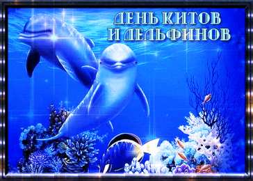 С дельфинами Картинки открытки дельфины на закате. Красивые открытки дельфинов.