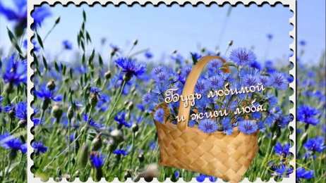 С васильками Картинки с васильками. Картинки с васильками с днём рождения.