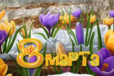 С крокусами Открытка С Днём рождения С белым крокусом и фиолетовыми прожилками.