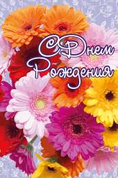 С герберами Скачать бесплатно картинки с герберами. Картинки с цветами герберами.