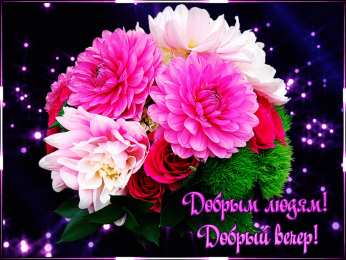 Добрый вечер Картинка анимация Добрый вечер. Картинка Всем добрый вечер. 