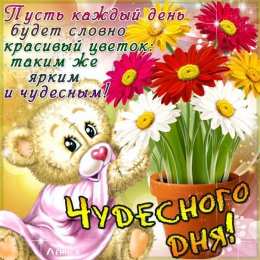 Добрый день Картинки добрый день скачать бесплатно. Добрый день открытки.