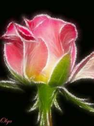 С розовыми розами Картинки Розовые розы с днём рождения. Открытки цветы Розовые розы.