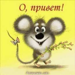 С приветствием  Открытка Привет любимый. Открытка приветствие. Открытка Привет мужчине.