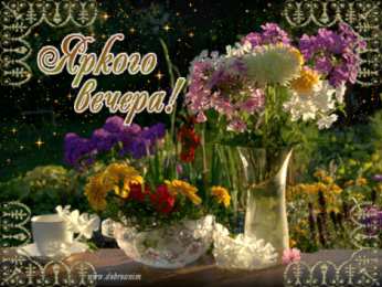 С астрами Открытка астры распустили свои крылья словно Ангелы, лохматые немножко.