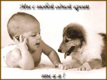 Открытки о дружбе Прикольные картинки про друзей со словами. Открытки для друга мужчины.