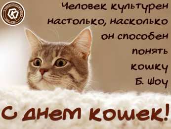 С Всемирным днём кошек Скачать картинку с Днём кошки. Прикольные открытки с Днем кошек.