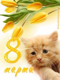 С кошками С днём рождения картинка с кошкой. Спокойной ночи картинка с кошками.