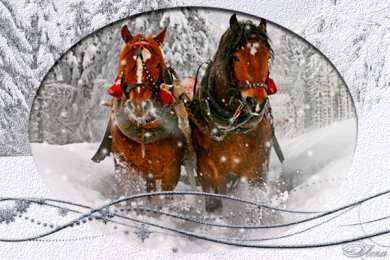 С лошадьми Открытка с красивым конём к Новому году. Открытки с лошадьми.