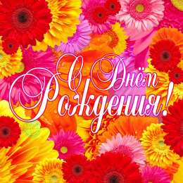 С герберами Скачать бесплатно картинки с герберами. Картинки с цветами герберами.