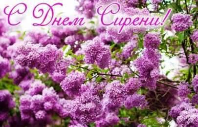 Открытки С сиренью Скачать бесплатно сирень.  Открытки С днём рождения с сиренью. Открытка Сиреневая Нежность, я с корзиной цветов сирени Сиреневый и голубой. Открытка Приятного вечера с букетом сирени. Картинки с днём рождения с сиренью. Скачать бесплатно сирень.