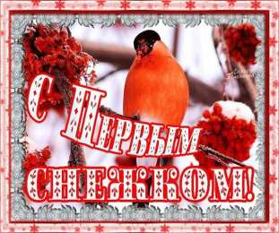 С первым снегом С первым снегом анимационная картинка. С первым снегом приколы. 